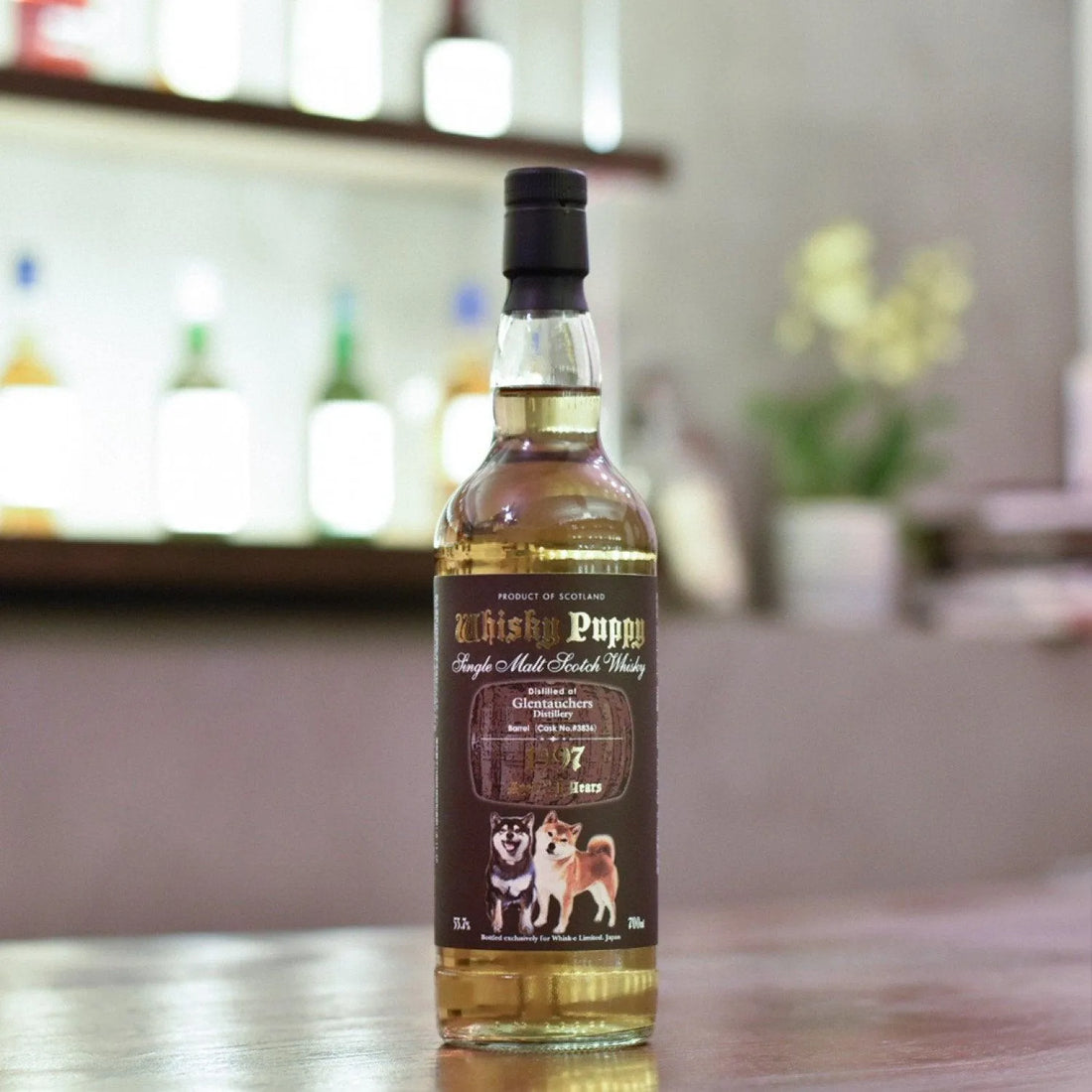 Whisk-e - Glentauchers 21 Year Old 1997 Whisky Puppy Cask 3836 - The Rare Malt