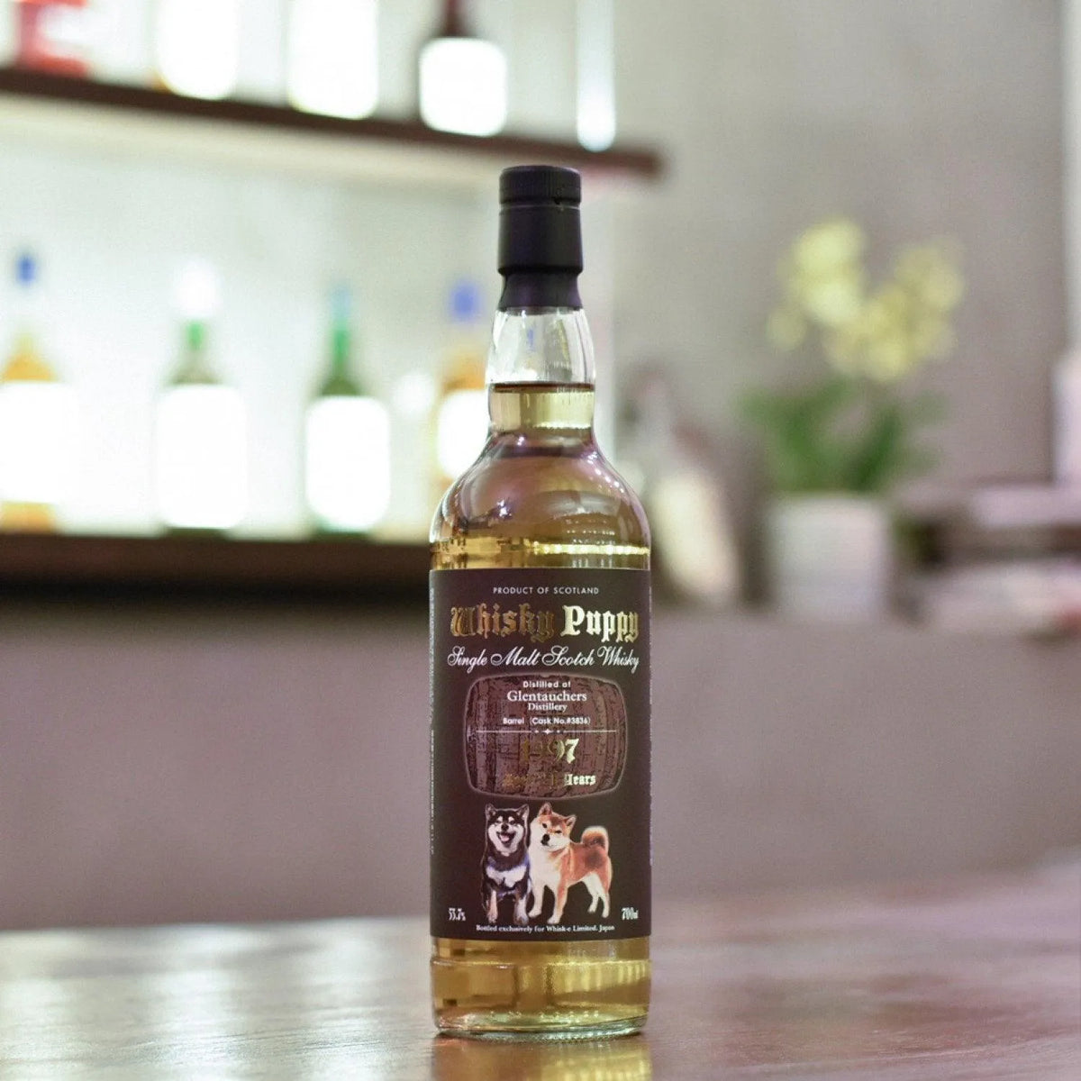 Whisk-e - Glentauchers 21 Year Old 1997 Whisky Puppy Cask 3836 - The Rare Malt